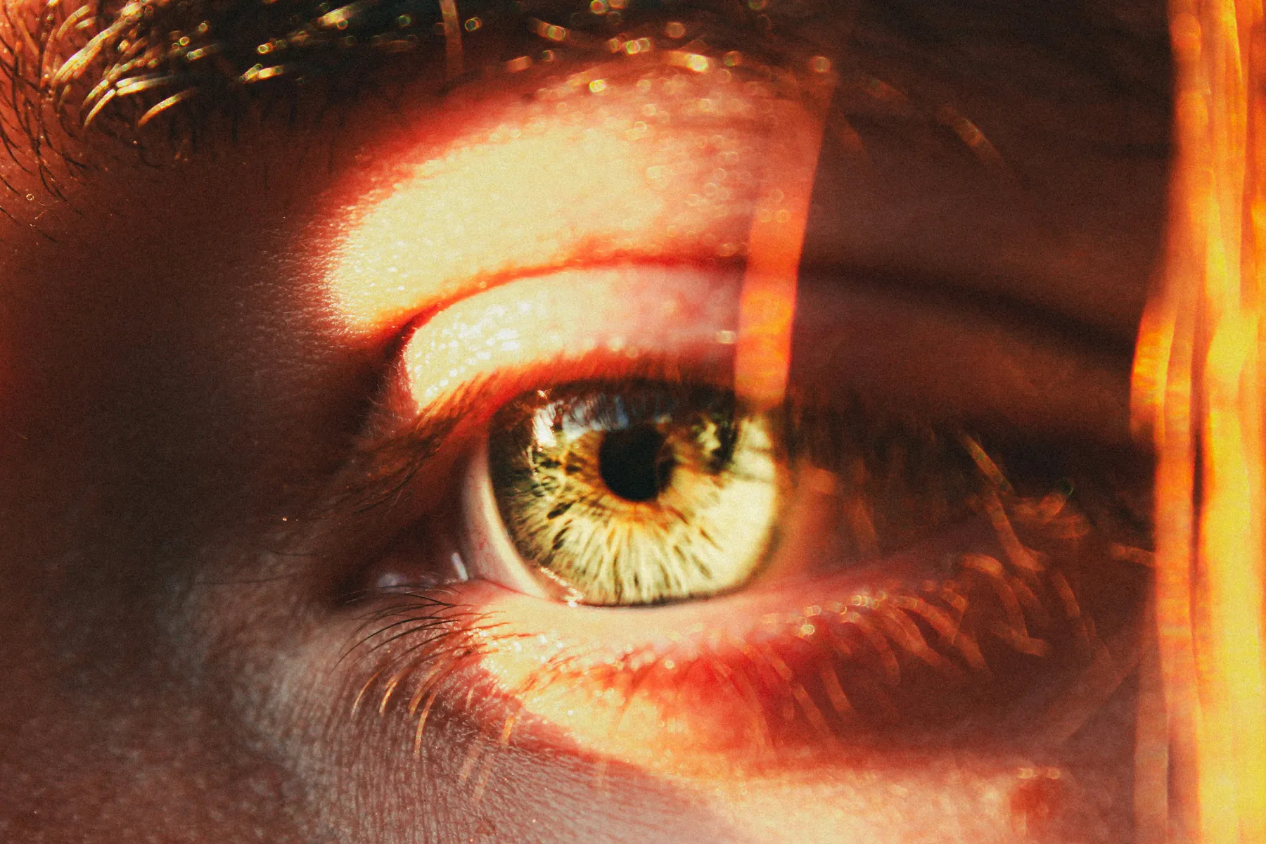 Close-up of a woman's eye